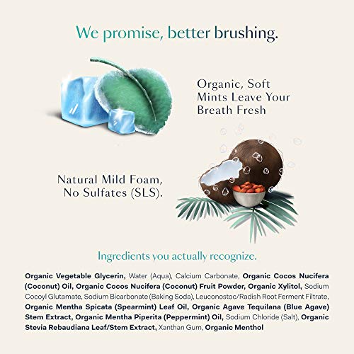 Better & Better Remarkably Pure Toothpaste | Natural, SLS-Free, Fluoride-Free...