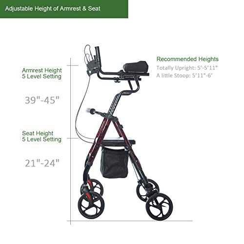 BEYOUR WALKER Upright Walker with Padded Seat & Backrest, Large Under-seat Ba...