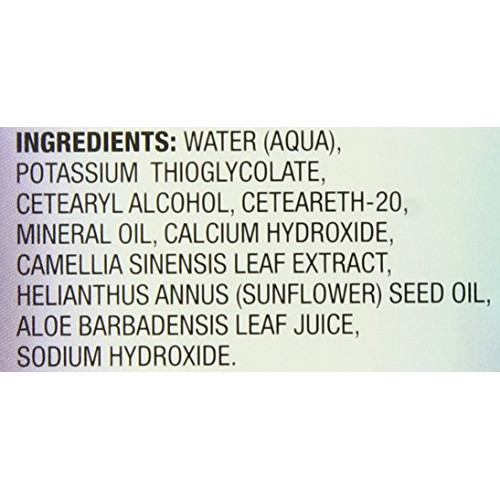 Bikini Zone Bikini Creme Hair Remover - Fast Painless Hair Removing Cream (2 ...