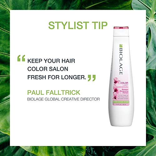 BIOLAGE Color Last Shampoo & Conditioner Bundle | Helps Protect Hair & Mainta...