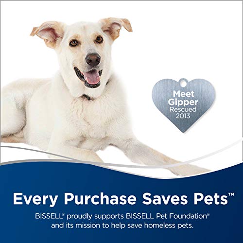 Bissell SpotClean ProHeat Portable Spot and Stain Carpet Cleaner, 2694, Blue