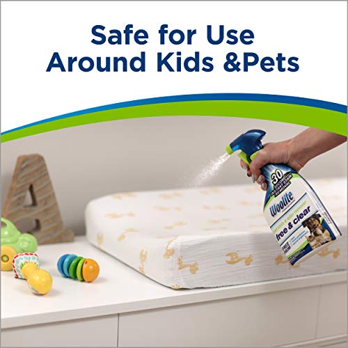 Woolite Free & Clear, Pet Stain & Odor Remover, 22oz (Pack of 2), 2719