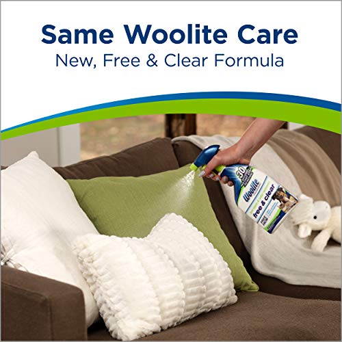 Woolite Free & Clear, Pet Stain & Odor Remover, 22oz (Pack of 2), 2719