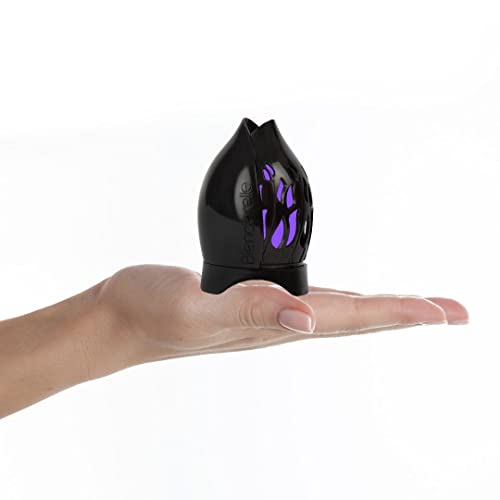 Blenderelle (Black) makeup blender sponge travel & storage protective case