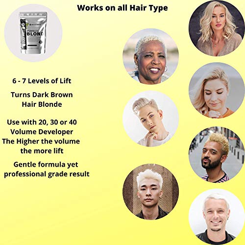 Perfect Blonde Extra Strength Professional Hair Toner Dye Lightener Bleach Po...
