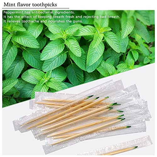 BLUE TOP Wood Bamboo Mint Individually Cello Wrapped Toothpicks 2.5 Inch Pack...