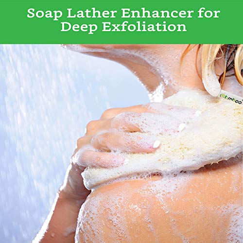 100% Natural Loofah Exfoliating Sponge (3 Pack) - Loofah Body Scrubber - Loof...