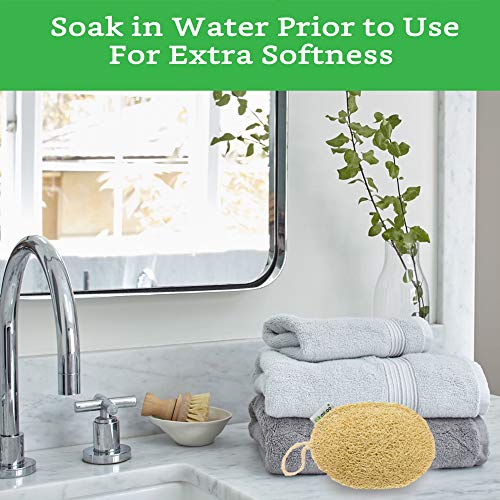 100% Natural Loofah Exfoliating Sponge (3 Pack) - Loofah Body Scrubber - Loof...