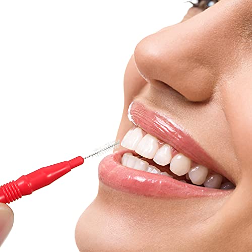 250 Pcs Floss Brushes Interdental Brush Teeth Soft Dental Picks Tooth Floss I...