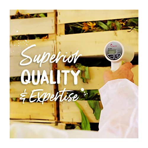 Boiron Arnica Montana 30C Pellets Pain Relief Medicine, White, 80 Count