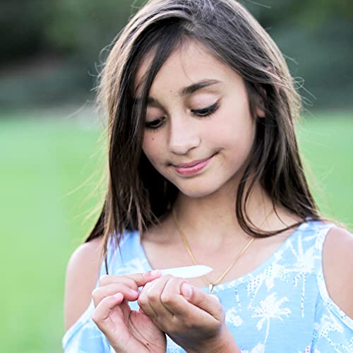 Glass Nail File with Case, Bona Fide Beauty Manicure Fingernail File, Expertl...