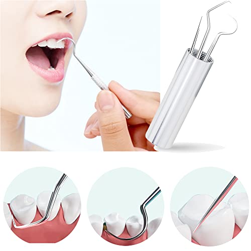 bonmall Dental Teeth Pick Stainless Steel Toothpick Set Reusable Tooth Stains...