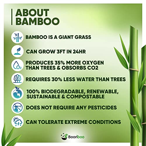 Boonboo Cotton Swabs | 200 Bamboo Cotton Buds | Plastic-Free | Sustainable & ...