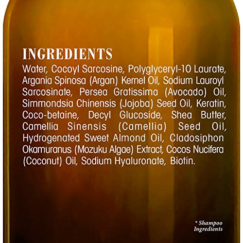 BOTANIC HEARTH Argan Oil Shampoo and Conditioner Set - with Keratin, Restorat...