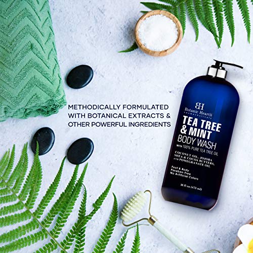 BOTANIC HEARTH Tea Tree Oil Body Wash with Mint - Paraben Free, Helps Fight B...