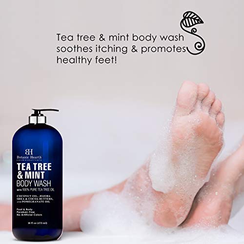 BOTANIC HEARTH Tea Tree Oil Body Wash with Mint - Paraben Free, Helps Fight B...