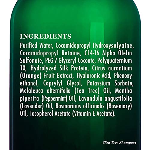 Botanic Hearth Tea Tree Shampoo and Conditioner Set - with 100% Pure Tea Tree...