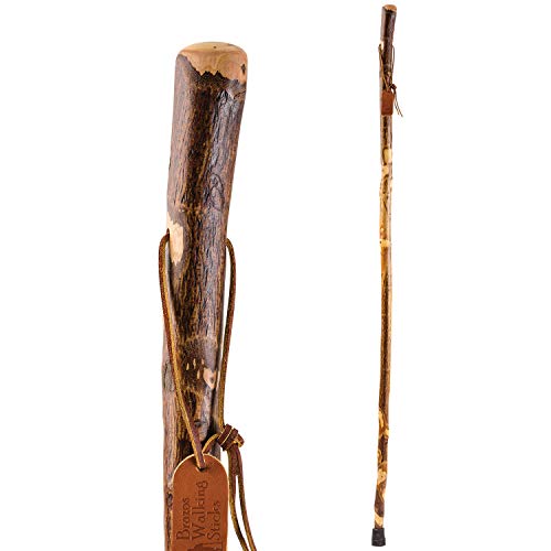 Brazos Sapling Hawthorn Walking Stick, Natural Wood Hiking Pole, Handcrafted ...