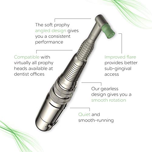 Bilistic Pro Series Dental Tooth Polisher | Professional Dental Teeth Cleanin...