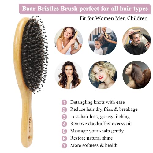 Hair Brush Comb Set Boar Bristle Hairbrush for Curly Thick Long Fine Dry Wet ...