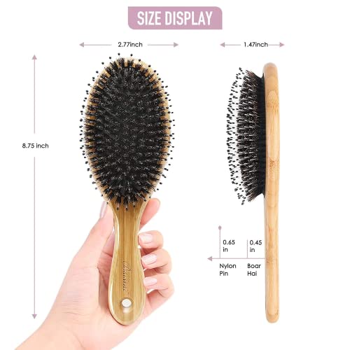 Hair Brush Comb Set Boar Bristle Hairbrush for Curly Thick Long Fine Dry Wet ...