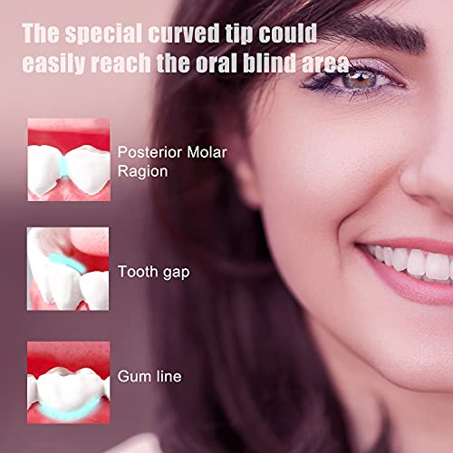 BTFO Sonic Electric Toothbrush with 5 Modes, 2pcs Replacement Brush Heads USB...