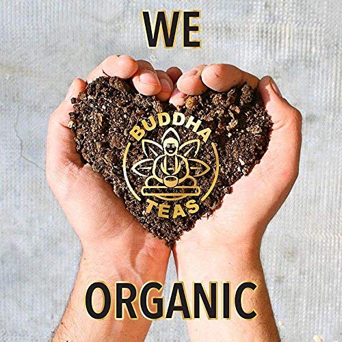 Buddha Teas Organic Dong Quai Tea - OU Kosher, USDA Organic, CCOF Organic, 18...
