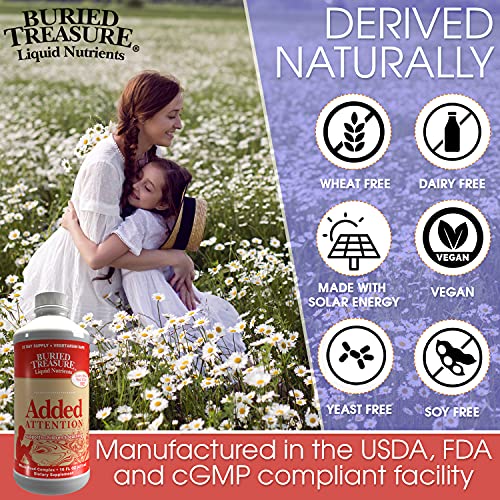 Buried Treasure - Added Attention - Children's Learning Support with GABA DHA...