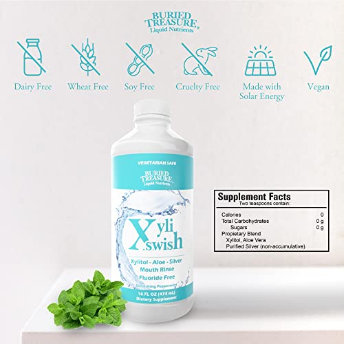 Xyli Swish - All Natural Formulated Nano Silver, Xylitol & Aloe Mouthwash - A...