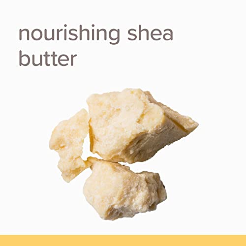 Belly Butter Skin Care, Burt's Bees Mama Pregnancy Lotion with Shea Butter an...