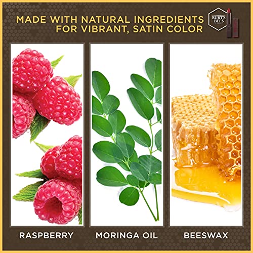 Burt's Bees 100% Natural Moisturizing Lipstick, Russet River, 1 Tube