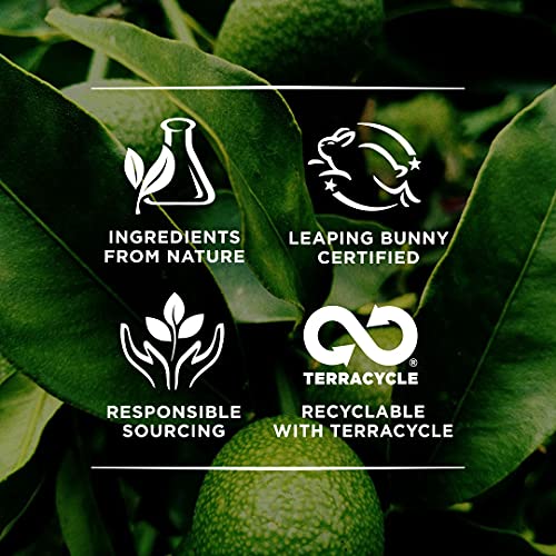 Burts Bees, Cuticle Cream Lemon Butter, 0.6 Ounce