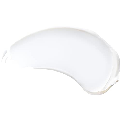 Burt's Bees Daily Face Moisturizer Cream for Sensitive Skin, Fragrance Free L...