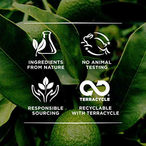 Burt's Bees Daily Face Moisturizer Cream for Sensitive Skin, Fragrance Free L...