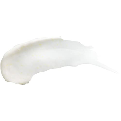 Burt's Bees Face Cleanser, Facial Wash for Sensitive Skin, Natural Skin Care,...