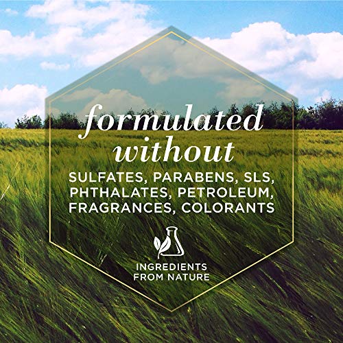 Burt's Bees for Pets for Dogs All-Natural Paw & Nose Lotion with Rosemary & O...