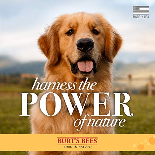Burt's Bees for Pets for Dogs All-Natural Paw & Nose Lotion with Rosemary & O...