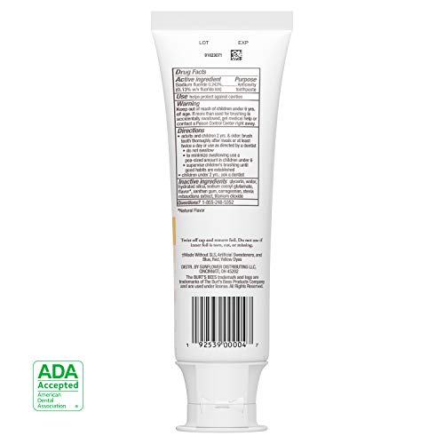 Burt's Bees Kids Toothpaste with Fluoride Fusion Fruit,16.8 Ounce