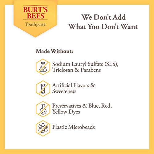 Burt's Bees Kids Toothpaste with Fluoride Fusion Fruit,16.8 Ounce