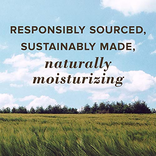 Burt's Bees Lip Balm Easter Basket Stuffers, Moisturizing Lip Care Spring Gif...