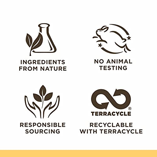 Burt's Bees Lip Balm Easter Basket Stuffers, Moisturizing Lip Care Spring Gif...