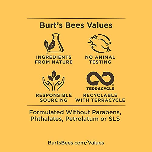 Burt's Bees Soothing Moisturizer + After Shave with Aloe & Hemp for Men, Whit...