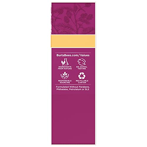 Face Lotion, Burt's Bees Retinol Alternative Facial Moisturizer, Anti-Aging S...