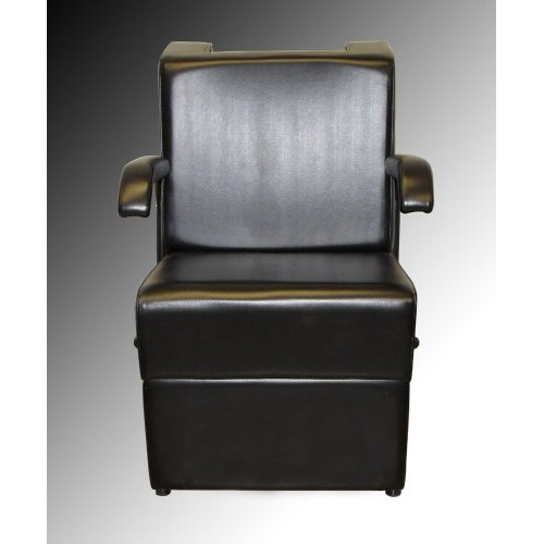 Buy-Rite Kate Professional Hair Dryer Chair with Dryer Combination for Salons...