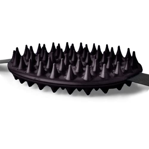 Original Cactus Back Scratcher | 2 Sides: Aggressive and Moderate | Perfect T...