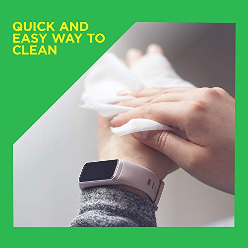 Care Touch Alcohol-Free Hand Sanitizer Wipes - 10 Pouches, 200 Wet Hand Wipes...