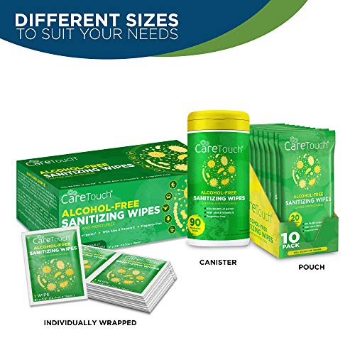 Care Touch Alcohol-Free Hand Sanitizer Wipes - 10 Pouches, 200 Wet Hand Wipes...