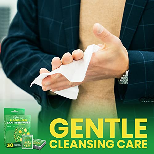 Care Touch Alcohol-Free Hand Sanitizing Wipes, 30 Individually Wrapped Hand W...