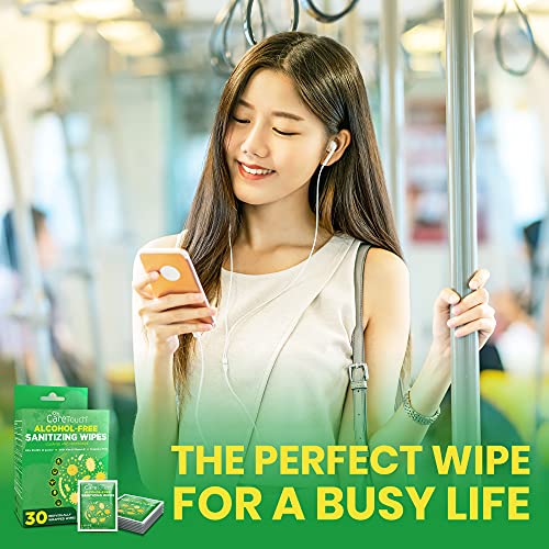 Care Touch Alcohol-Free Hand Sanitizing Wipes, 30 Individually Wrapped Hand W...