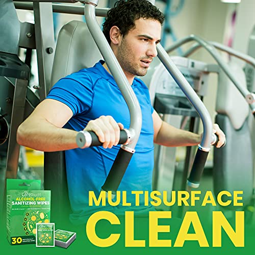 Care Touch Alcohol-Free Hand Sanitizing Wipes, 30 Individually Wrapped Hand W...